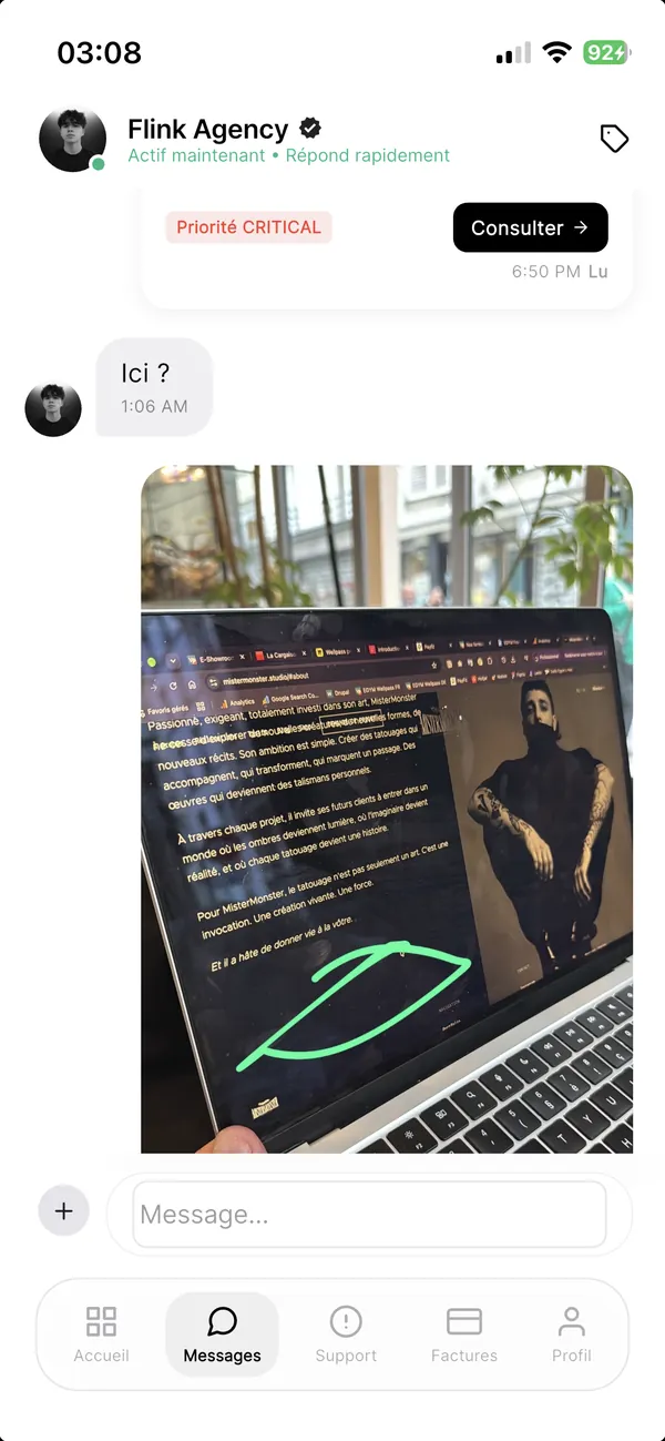 Direct messaging with the Flink team